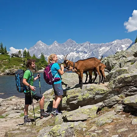 Aparthotel Alpenrock Appartements By Schladming-Appartements Schladming